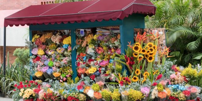 איך לבחור חנות פרחים ברחובות